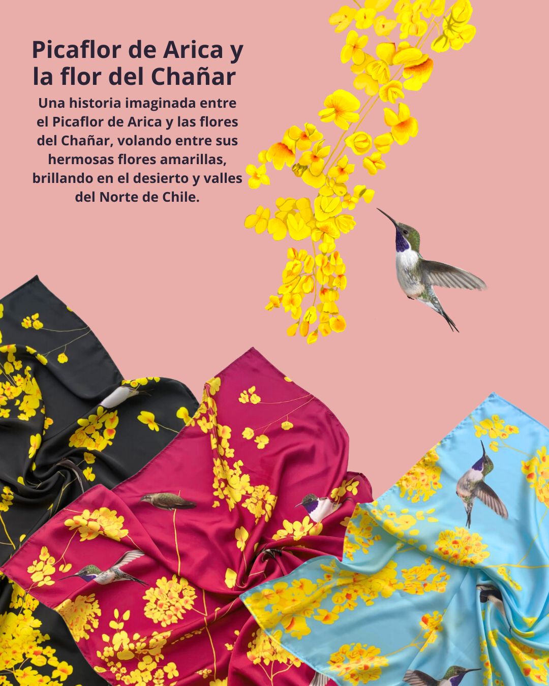 Pañuelo 70 Picaflor de Arica Negro