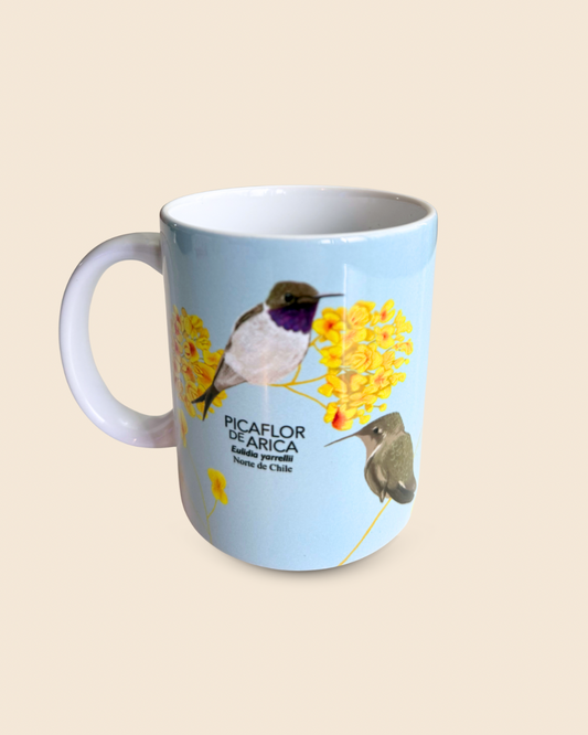 Tazón Picaflor de Arica último en stock